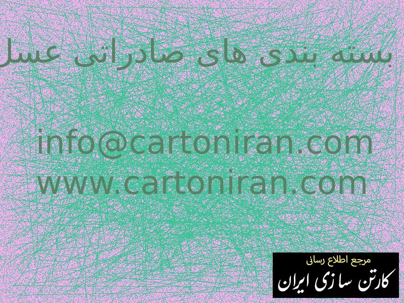 بسته بندی های صادراتی عسل